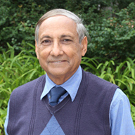 Farghalli Mohamed