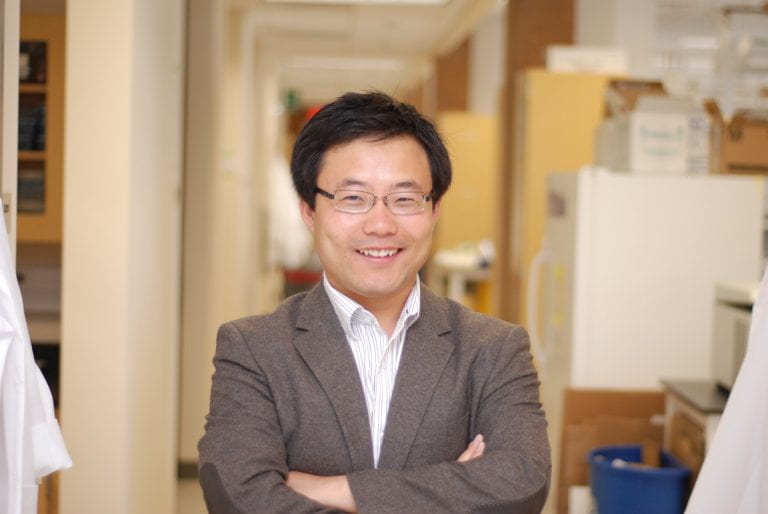 Weian Zhao