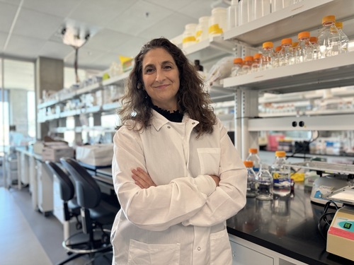 UCI Professor Naomi Chesler in the lab.